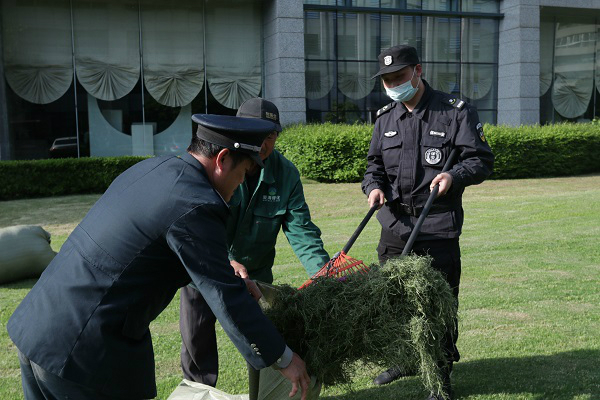 IMG_8399_看圖王 IMG_8399_看圖王